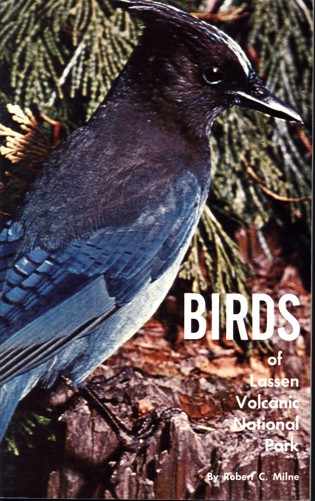 BIRDS OF LASSEN VOLCANIC NATIONAL PARK. 